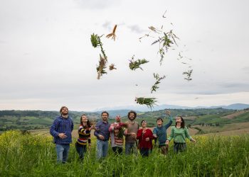 Foto di gruppo di persone che lanciano in aria ortaggi raccolti